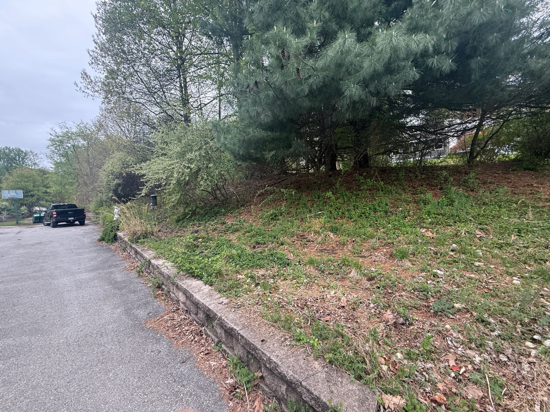 Sloped lawn — drainage and grading work