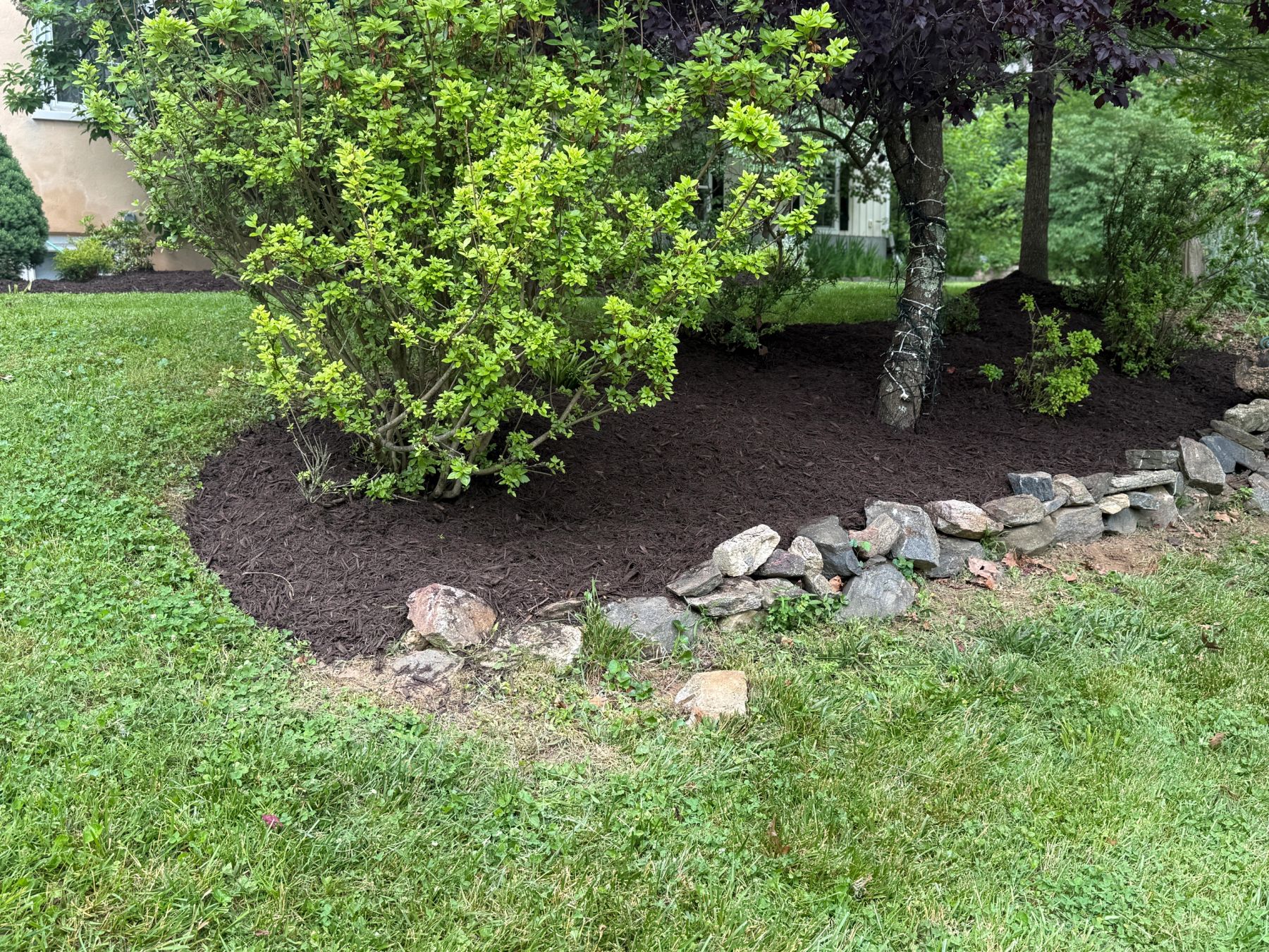 Shrub bed with rock border and fresh mulch